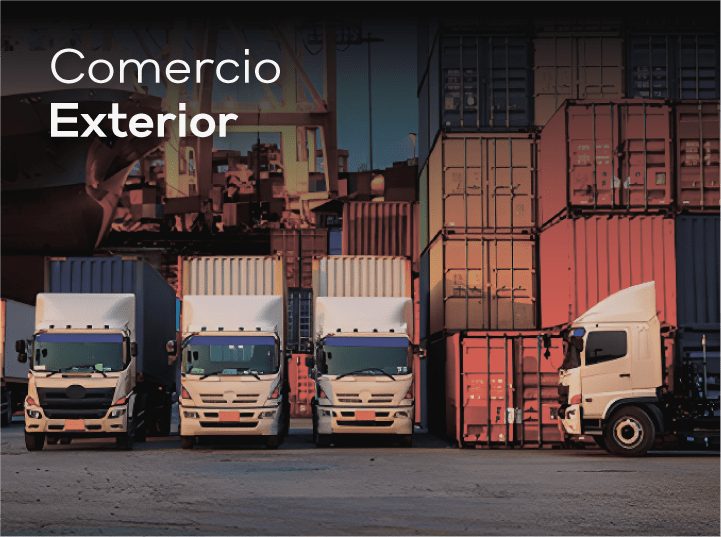 Slide 7 - Gestion de flota especializada